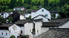 鸬鸟镇游记图片] 探访鸬鸟镇的隐秘村落，来感受甜蜜一夏吧