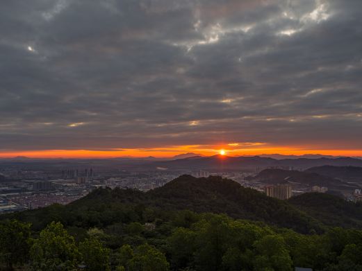 阳江市区森林公园