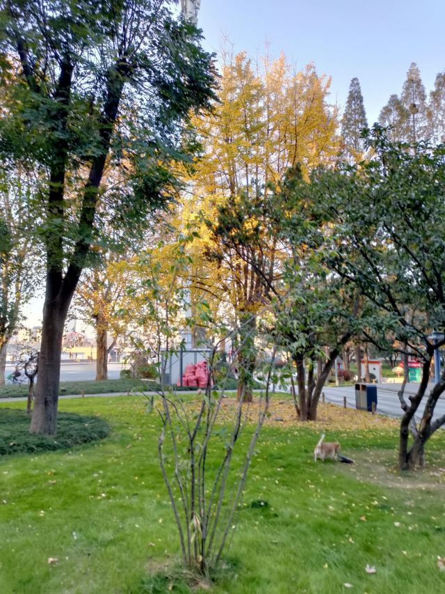 汉阳门花园旅行图片 11