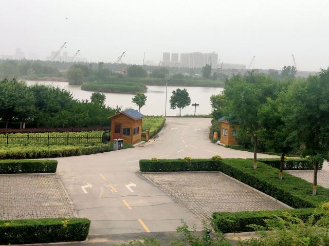 灞渭生态滩区旅行图片 5