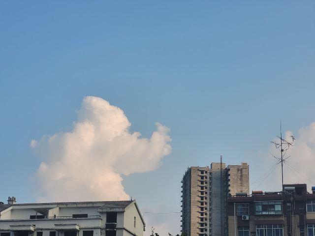中越人民友谊公园旅行图片 3