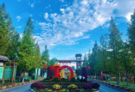 泗洪洪泽湖湿地景区景点图片