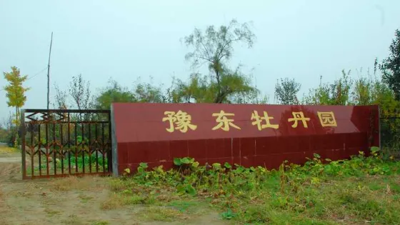 豫東牡丹園