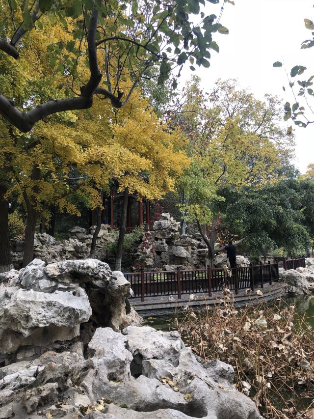 宣武艺园旅行图片 8