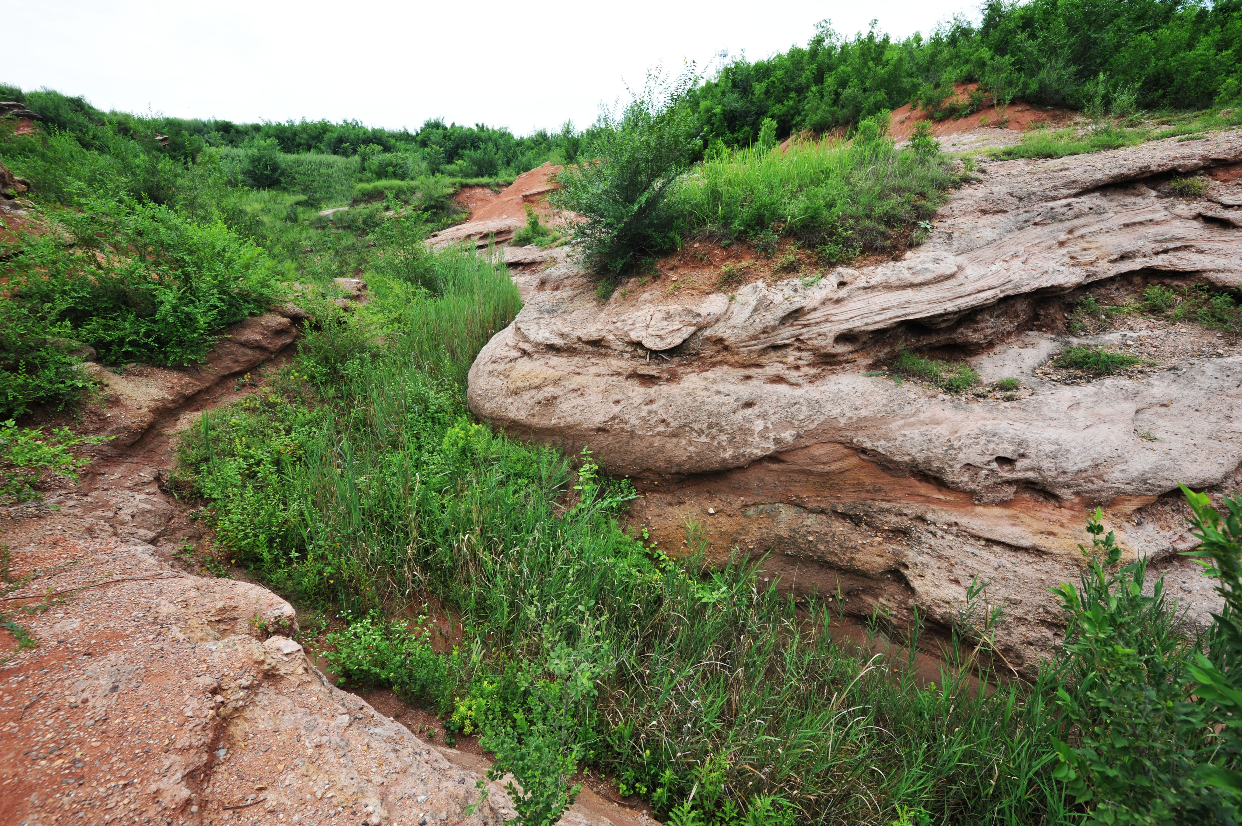 2-Day Laiyang Tour: Cherry Blossoms, Dinosaur Fossils and T-shaped Bay Resort