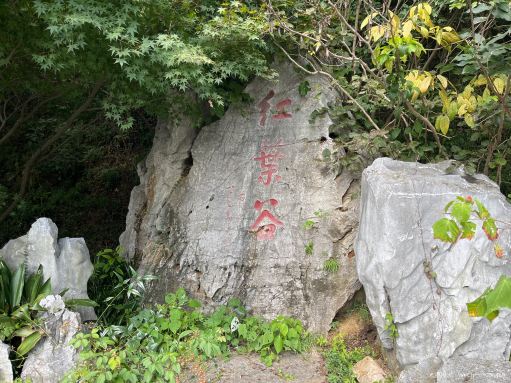南京栖霞山风景名胜区-红叶谷