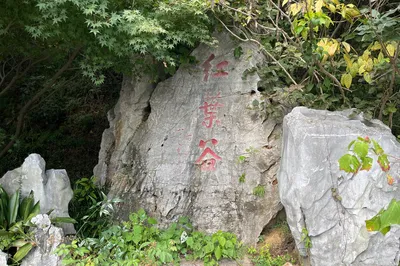 南京栖霞山风景名胜区-红叶谷
