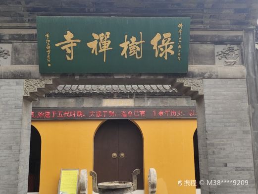 溱潼古镇旅游区-绿院垂槐
