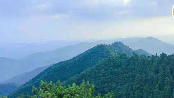 青山