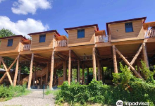 Styrassic Park景点图片