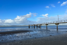 Shelly Beach Wharf景点图片