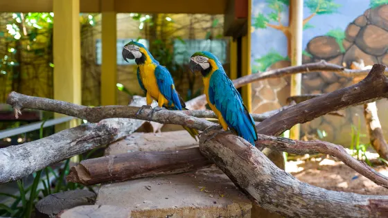 蘭卡威野生動物園