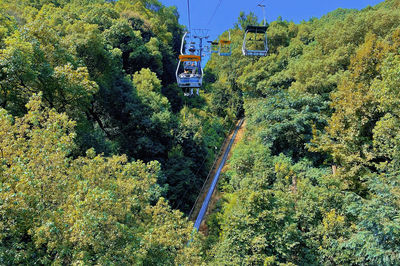 岳麓山索道