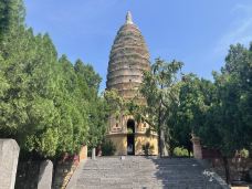 嵩阳景区-登封-岱山香橙