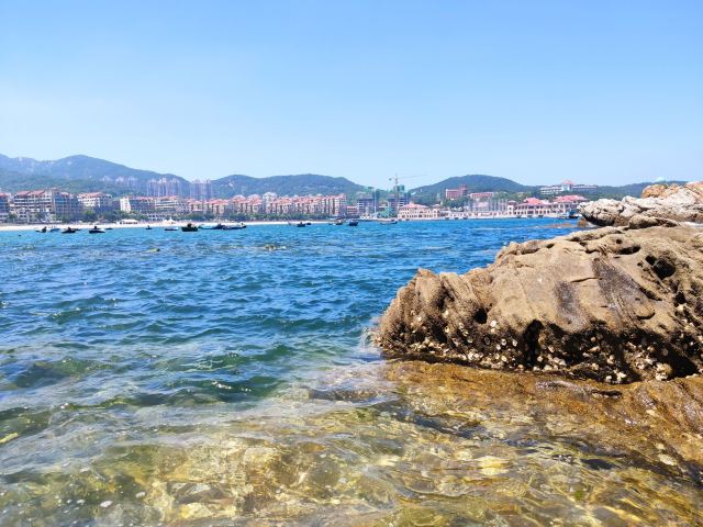 半月湾公园旅行图片 3