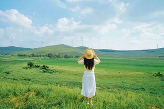 自驾承德坝上，想和你潜入七彩森林，漫步辽阔草原，看日出日落雨疏星骤