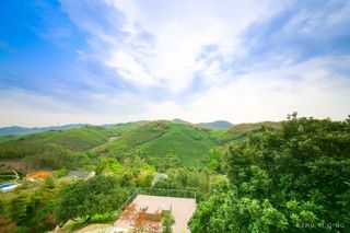 带着老父亲自驾莫干山，极限弯道中享山野归隐之乐