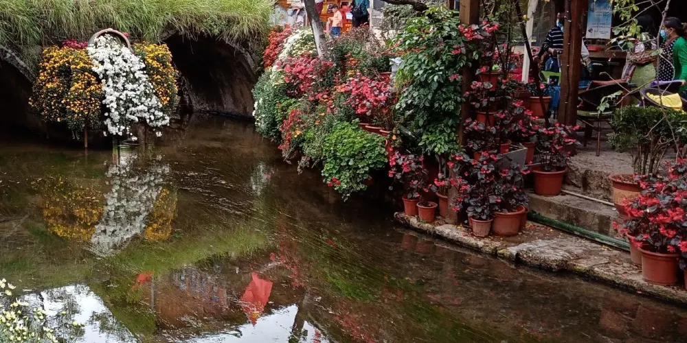 永安旅遊