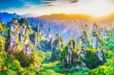 张家界国家森林公园-张家界