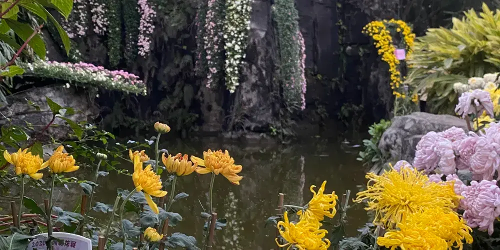 永安旅遊