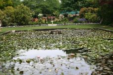 梦娜维尔花园-基督城-多多