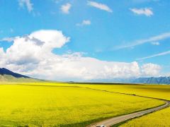 4日西宁+海西+祁连+张掖+门源