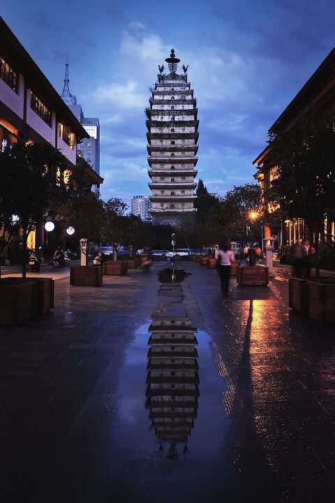 东寺塔茶花园旅行图片 1