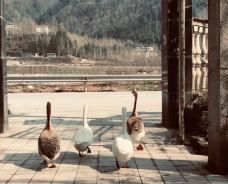 童话小镇-绵竹-噼里啪啦