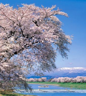 仙台游记图文-Say hello to MIYAGI