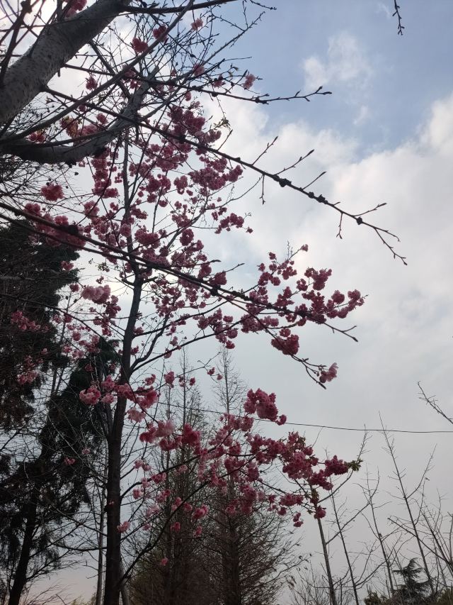 海洪湿地泼水广场旅行图片 3