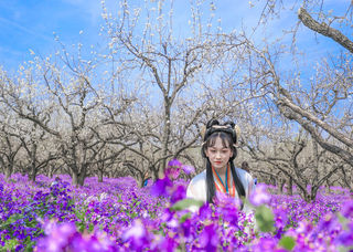 宿迁｜邂逅一城春色，梦回西楚王朝