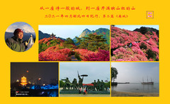 麻城游记图片] “从一座诗一般的城，到一座开满映山红的山”，2021湖北四天纪行《麻城篇》