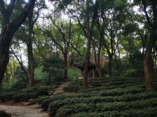 玉蜓公园-北京-徐徐霞客Rr