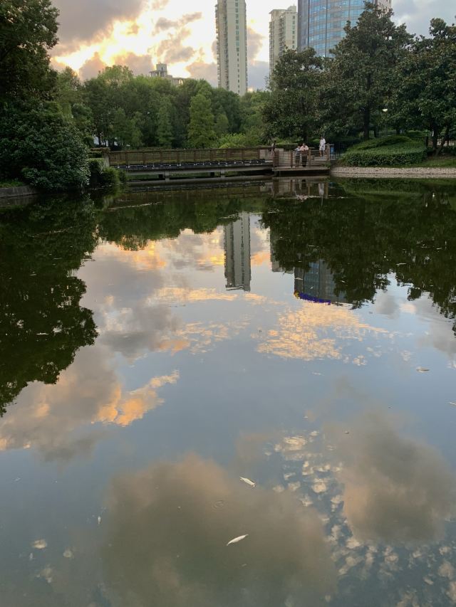 江浦公园旅行图片 13