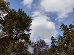 宜兴游记图片] 龙背山，秋色惹人醉（下）