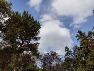 龙背山，秋色惹人醉（下）