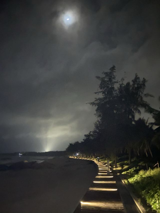 东郊椰林风景名胜区旅行图片 8