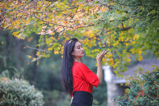 深秋缓缓归,自驾武汉的回忆录