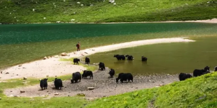 下文措（俄錯尕瑪）