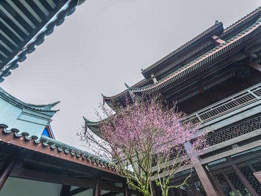 林阳禅寺