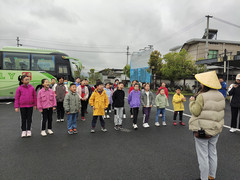 旌德游记图片] 茶田拾春记
