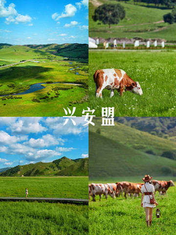 【兴安盟】去“东方小瑞士”,开启一场22℃的清凉之旅