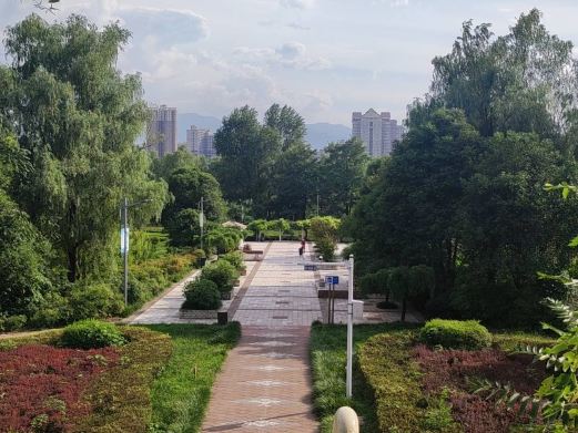 渭河公园