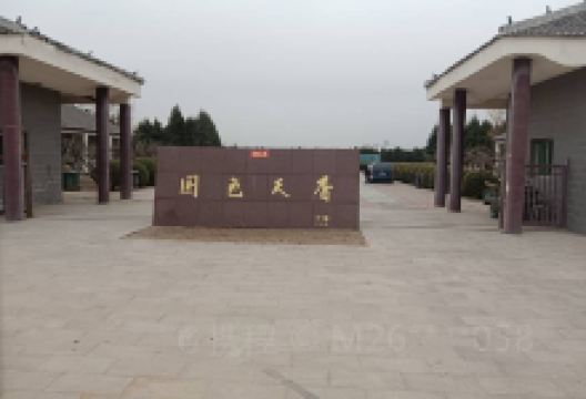 国色天香-牡丹园景点图片