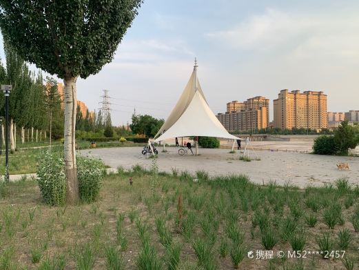 呼市回民区防风林公园