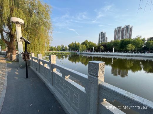 龙泽湖公园