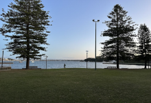 Carss Bush Park景点图片