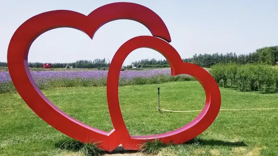 北京夢幻紫海香草莊園