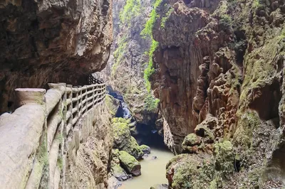 荫翠峡