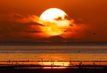 茶卡盐湖+青海湖+日月山一日游【纯玩无购物】【1人可订，每天发团，可选精品小团，上门接送，行程更舒适自由】